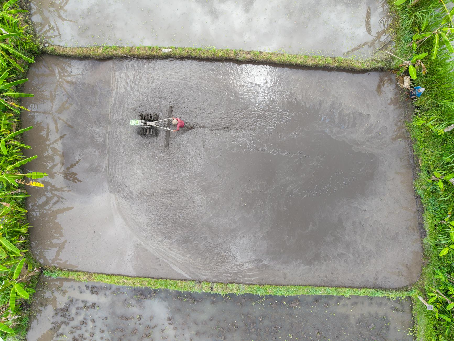 Aerial view of farmer plowing a rice field with a tractor in Bali, Indonesia.