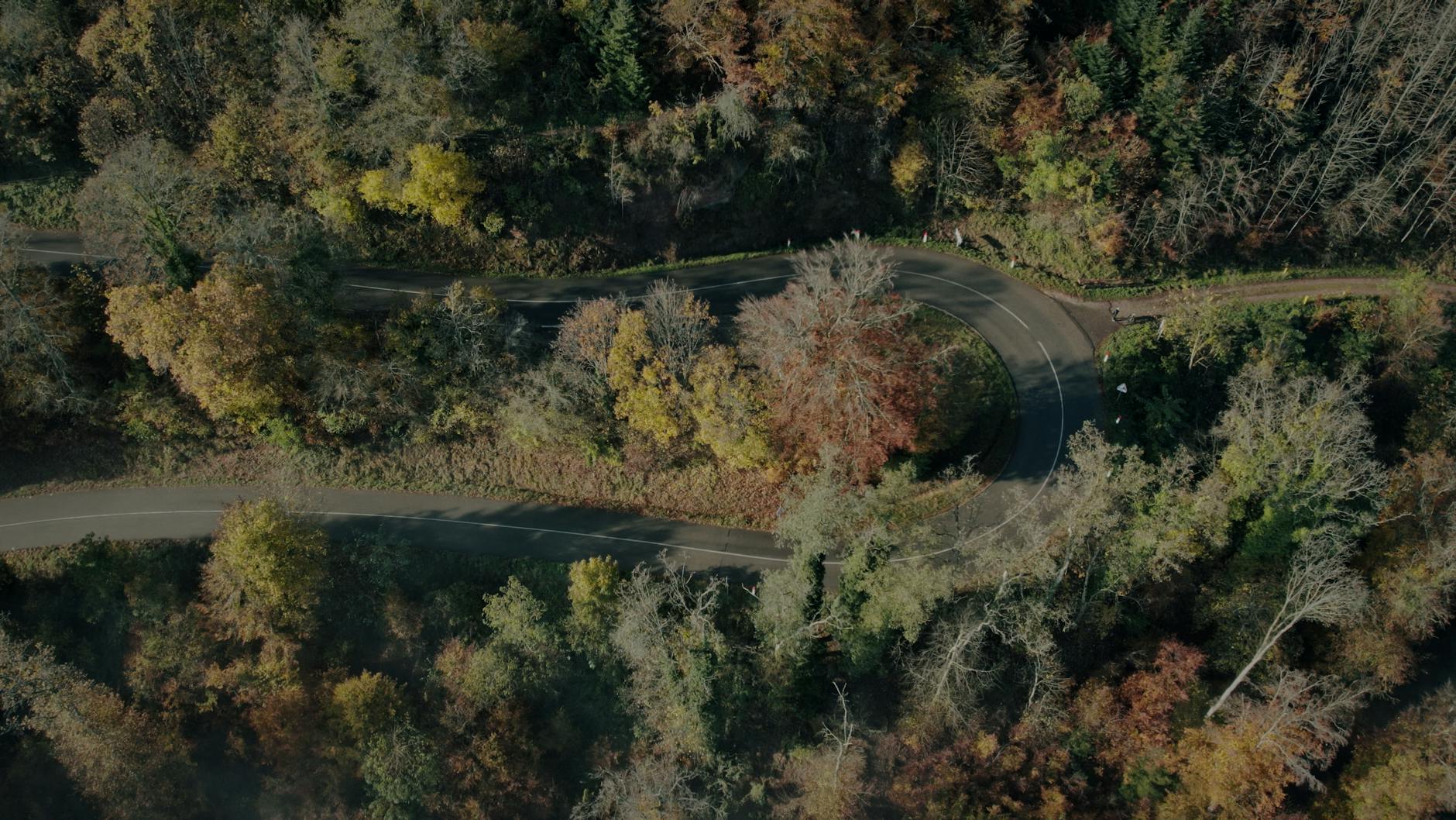 A winding road through an autumn forest in Kintzheim, Grand Est, France captured from above.