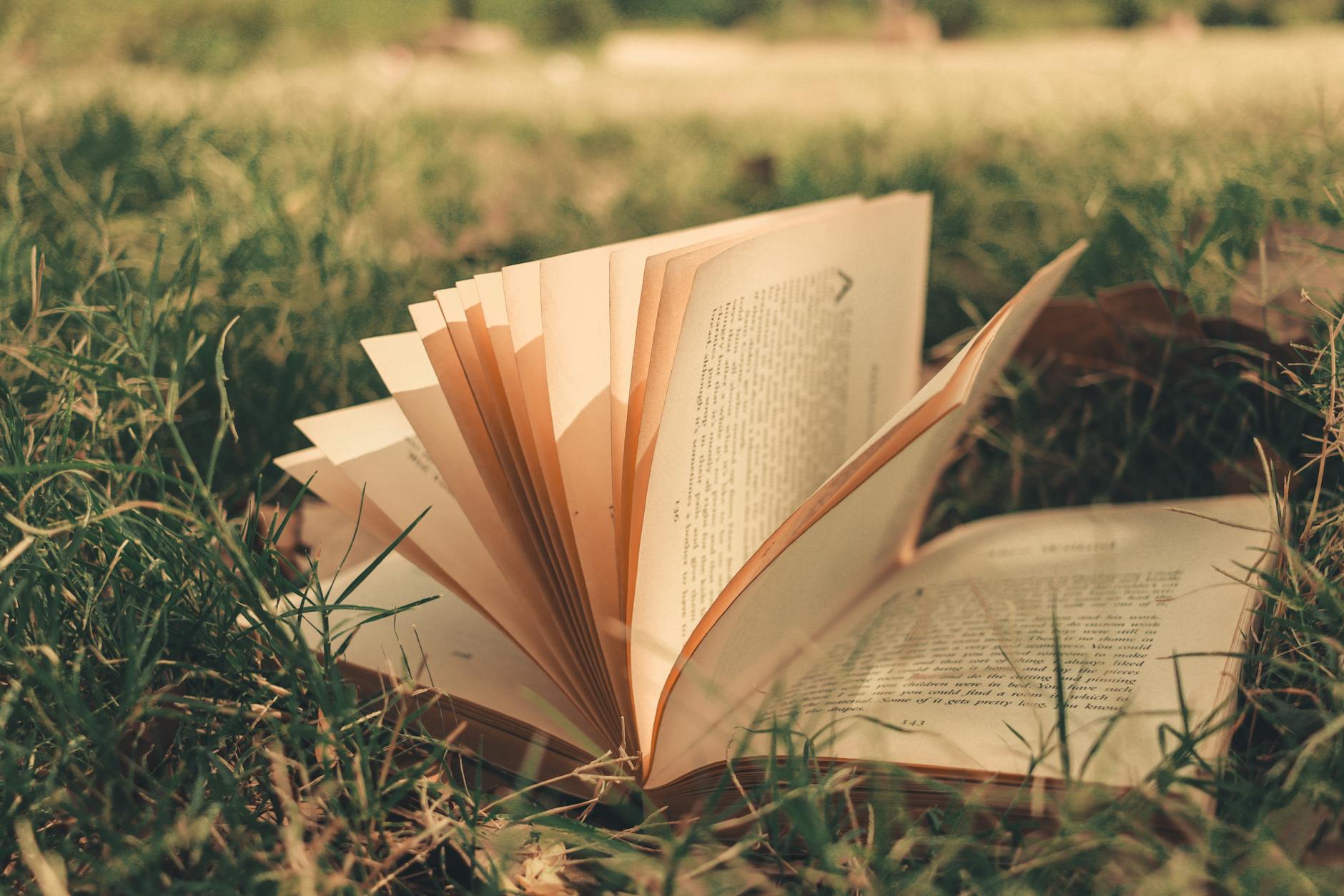 An open book with pages fanned out lies on lush green grass, inviting relaxation and reading in nature.