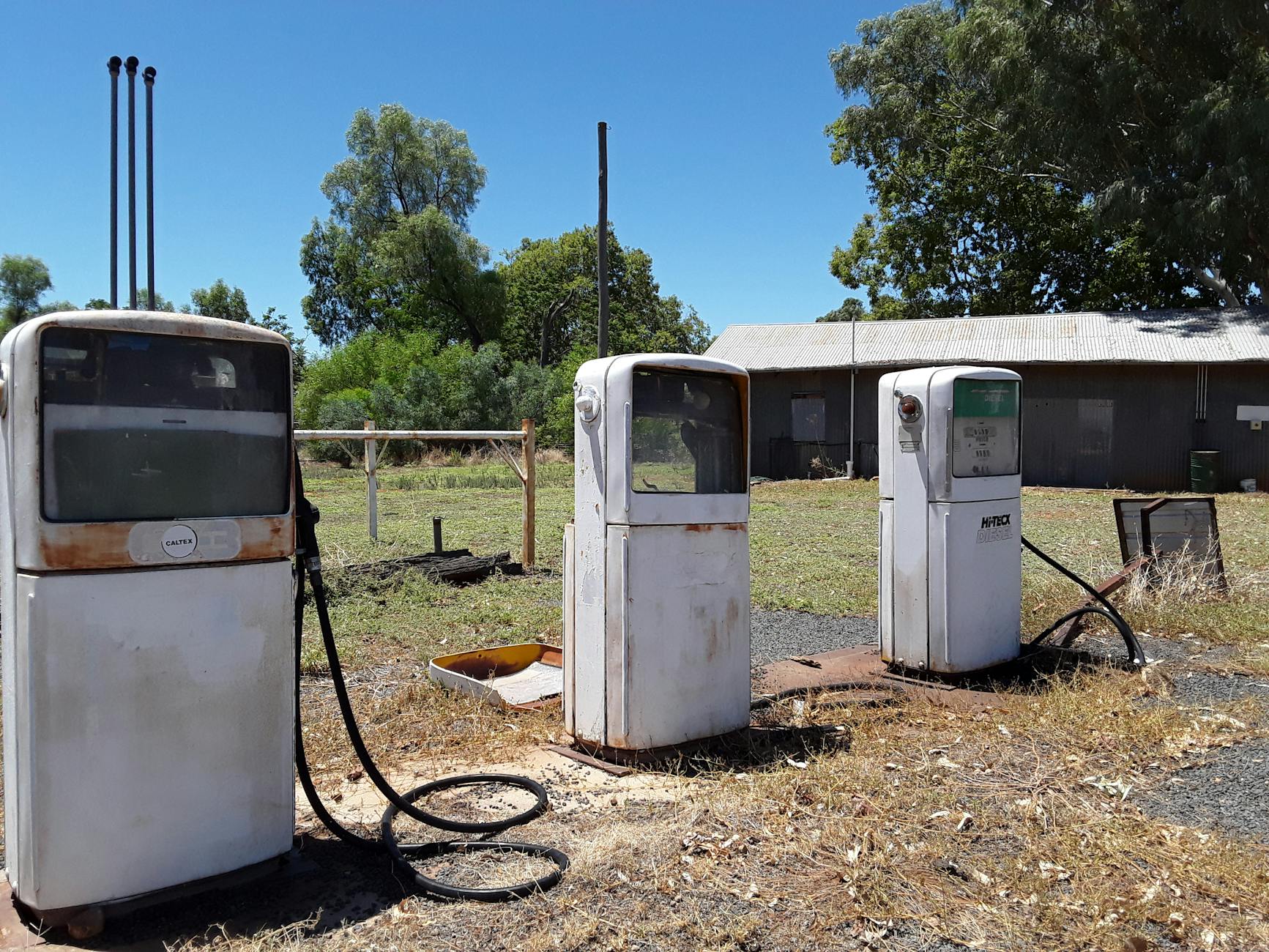 Old, abandoned gas pumps in a rural Australian landscape, surrounded by nature.