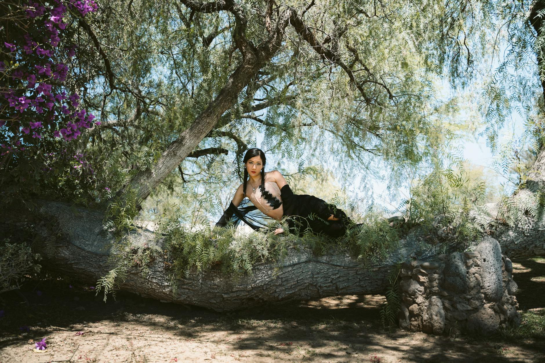A woman in a black dress poses gracefully on a tree branch in a sunlit park.