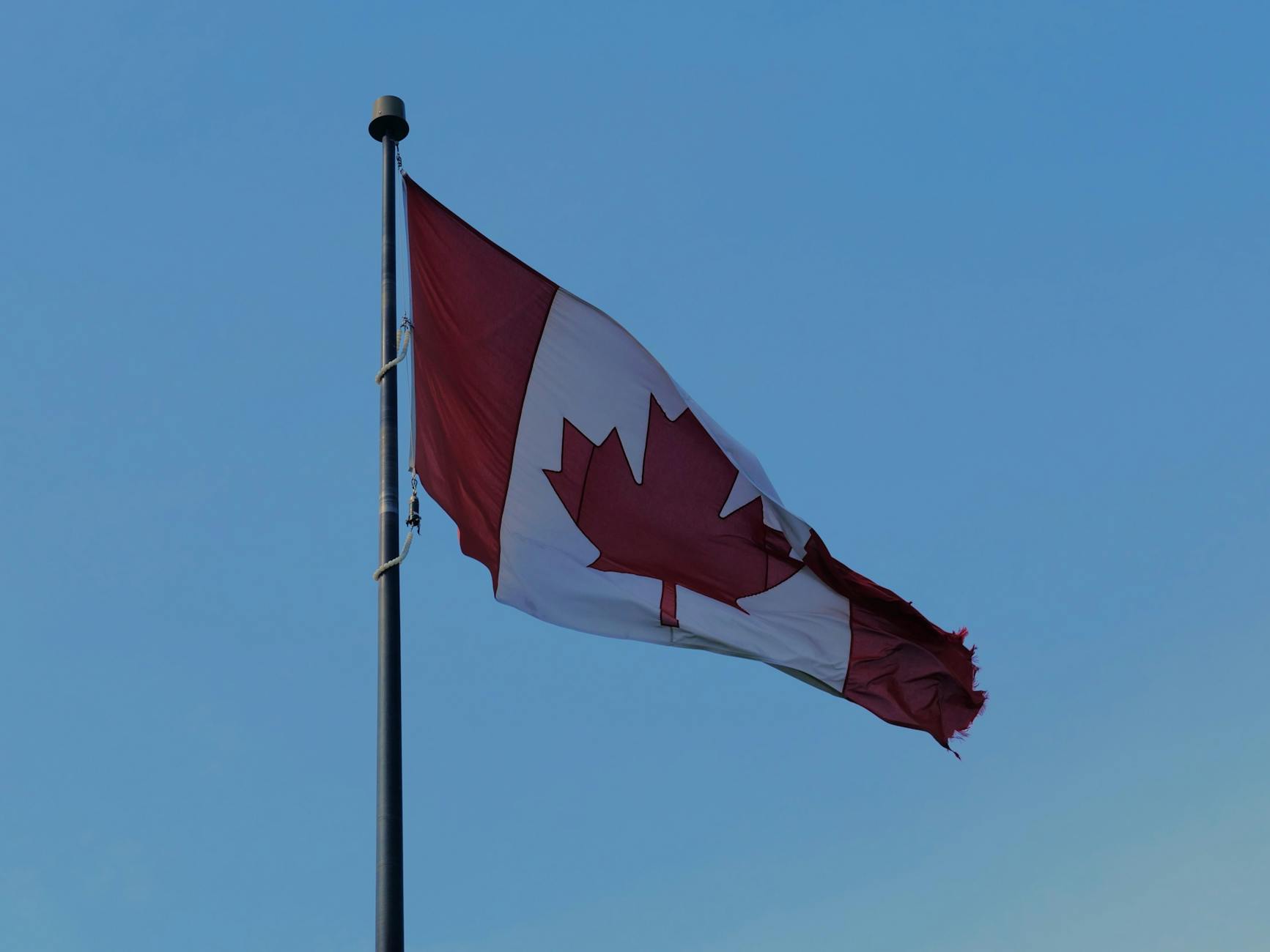The Canadian flag waves under a clear sky in Toronto, symbolizing national pride.