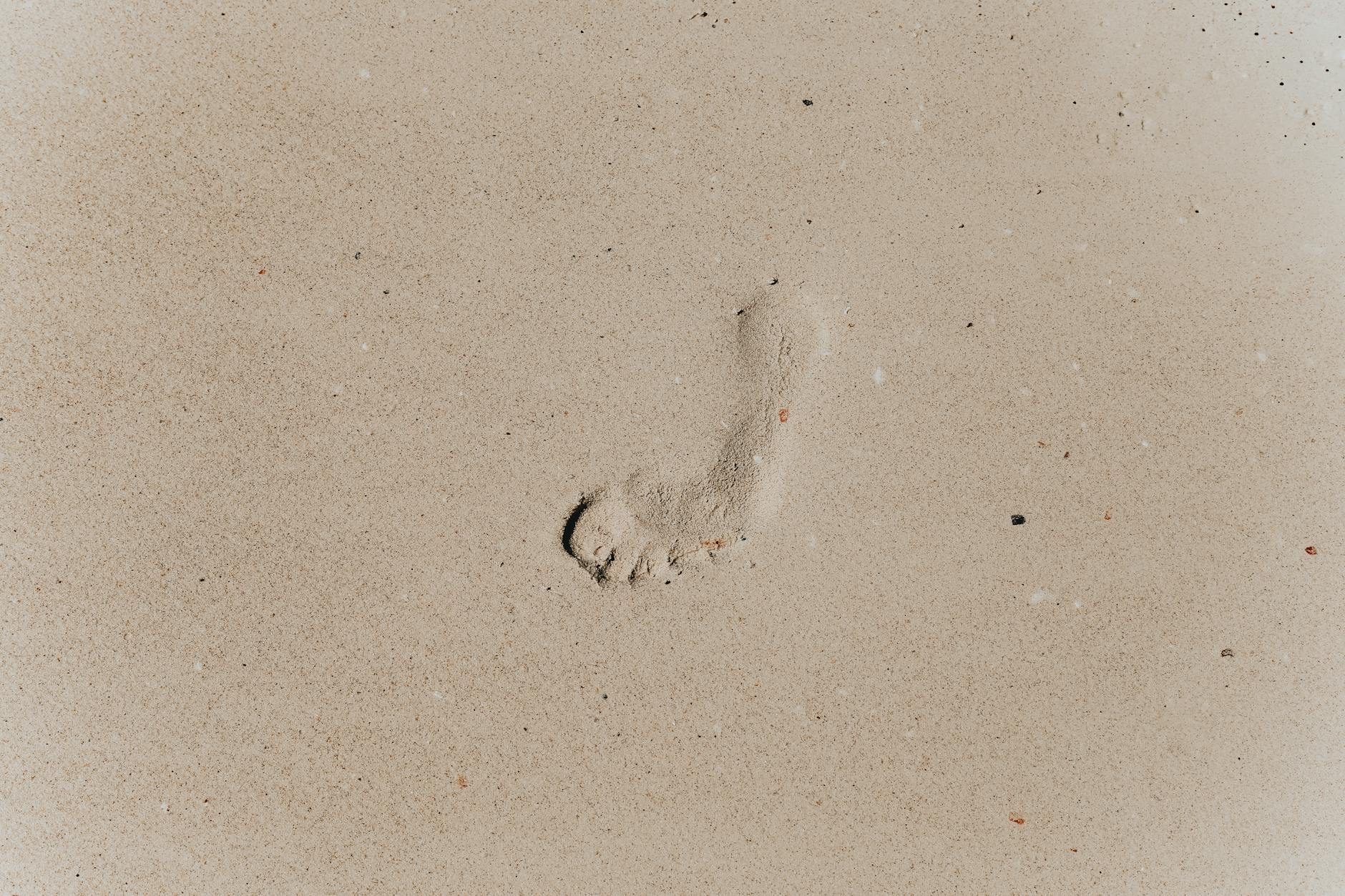 Top view of footprint on brown sandy coast with loose texture in daytime