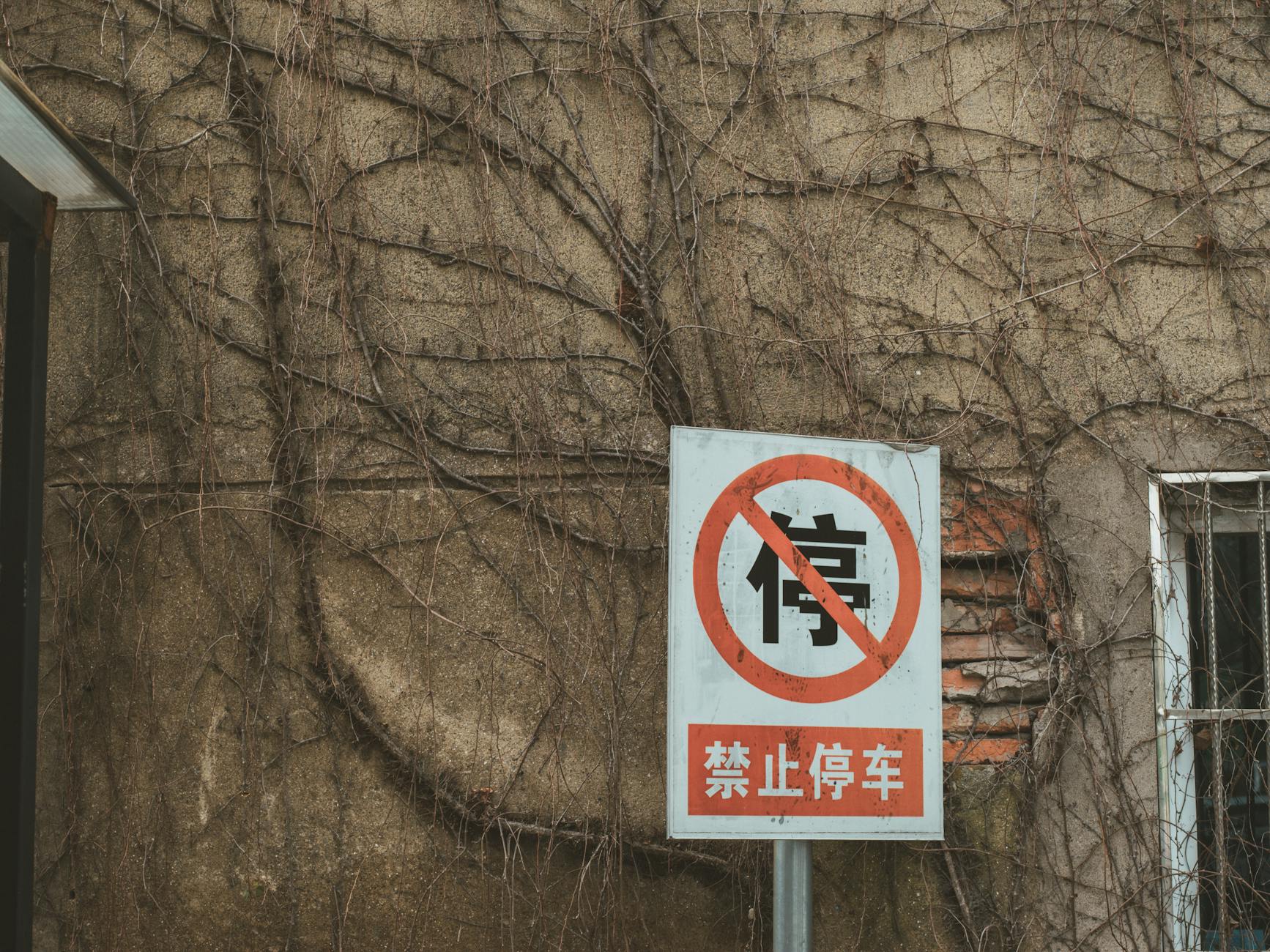 A no parking sign against an ivy-covered wall with bare vines, suggesting an urban environment.