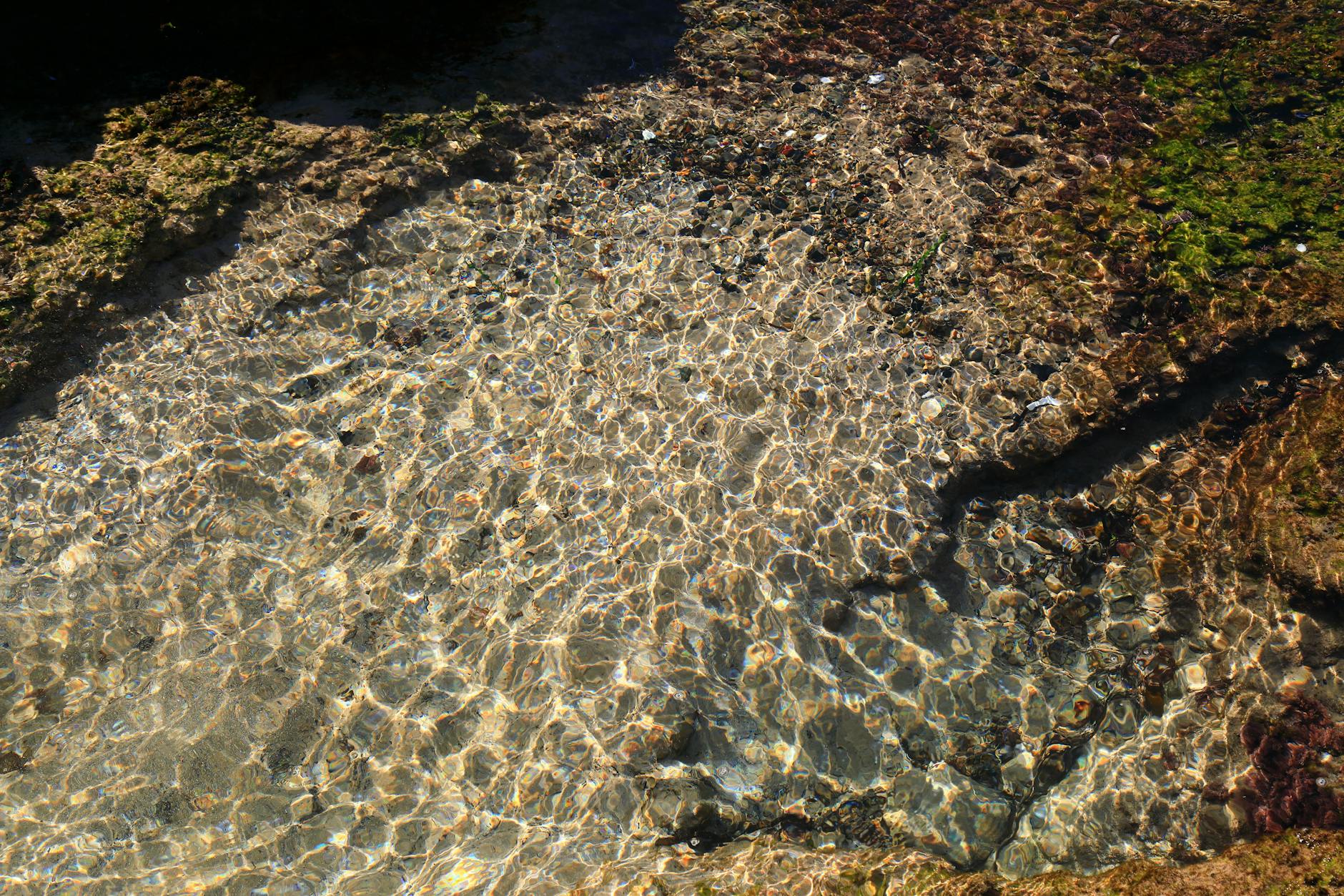 A serene view of sunlight reflecting on clear water over rocks, showcasing nature's beauty.