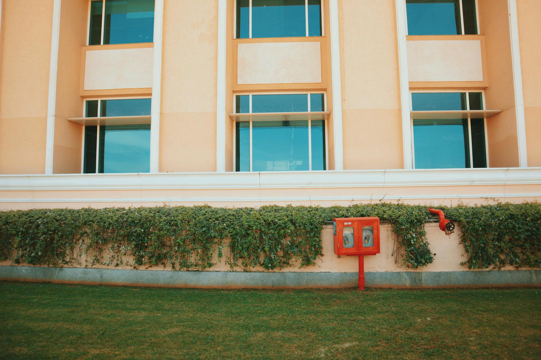 Urban facade with windows, greenery, and fire safety equipment. Contemporary city architecture.