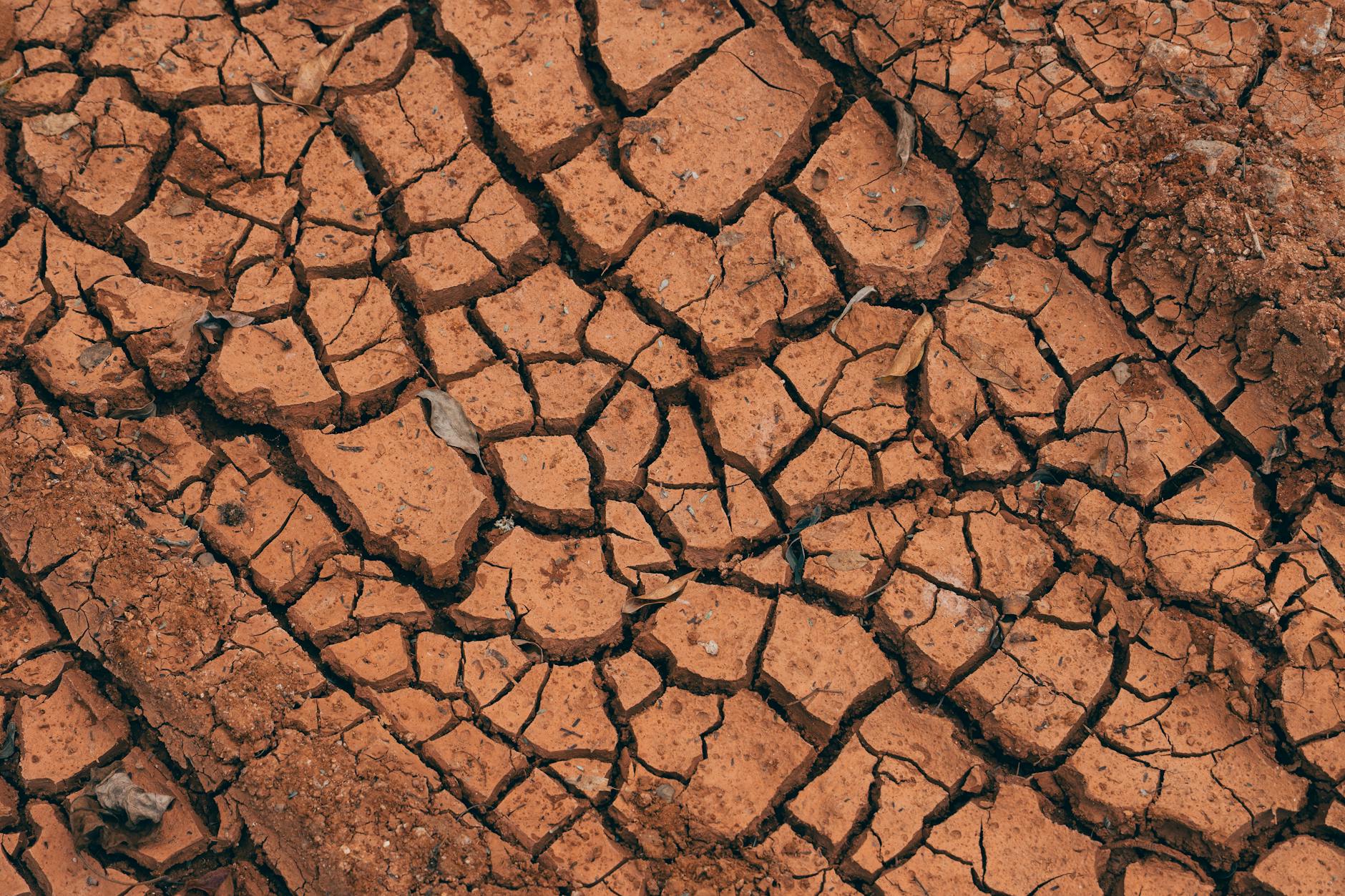 Close-up of cracked red soil, illustrating drought effects.