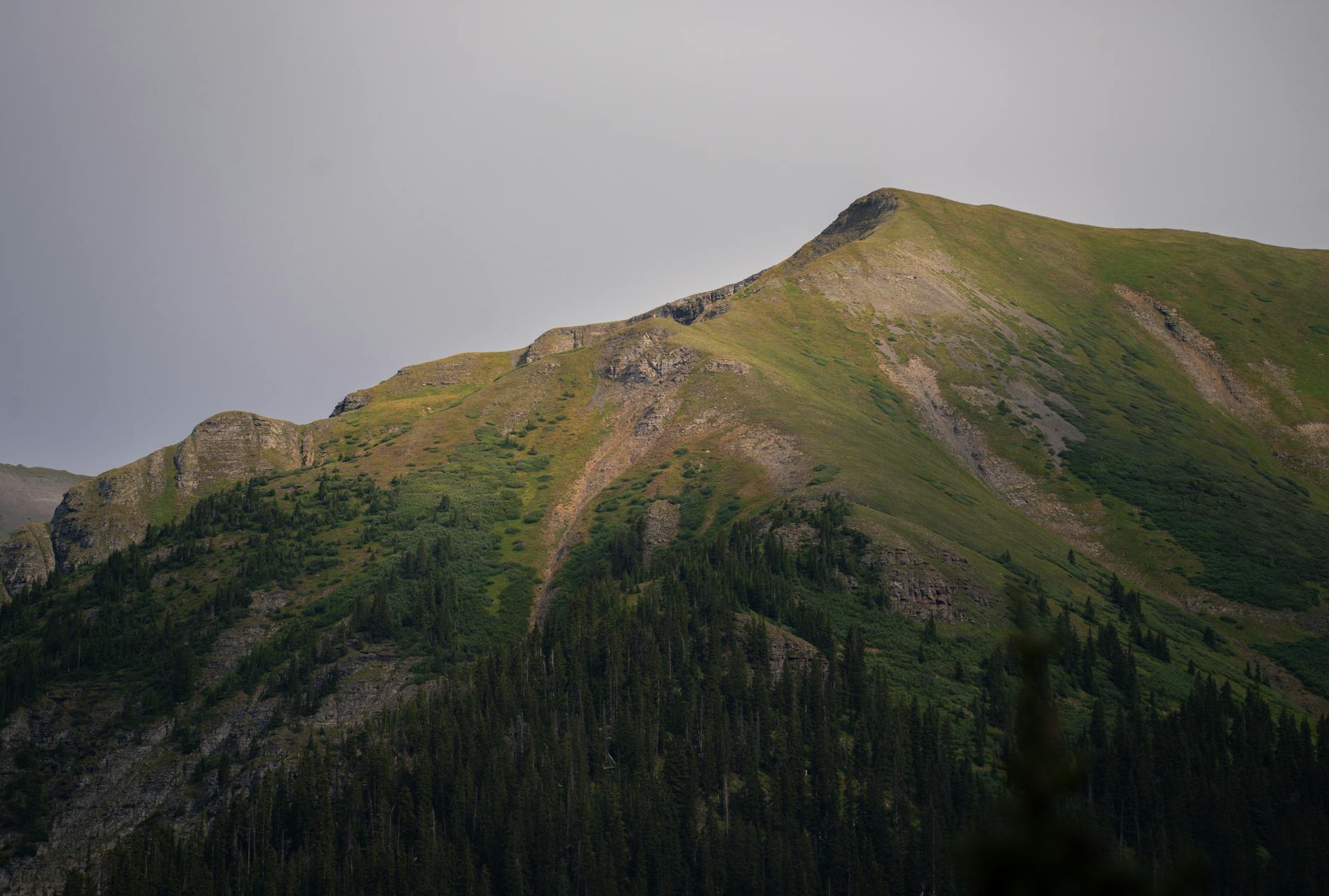 Breathtaking view of lush green mountain peaks in San Juan National Forest.