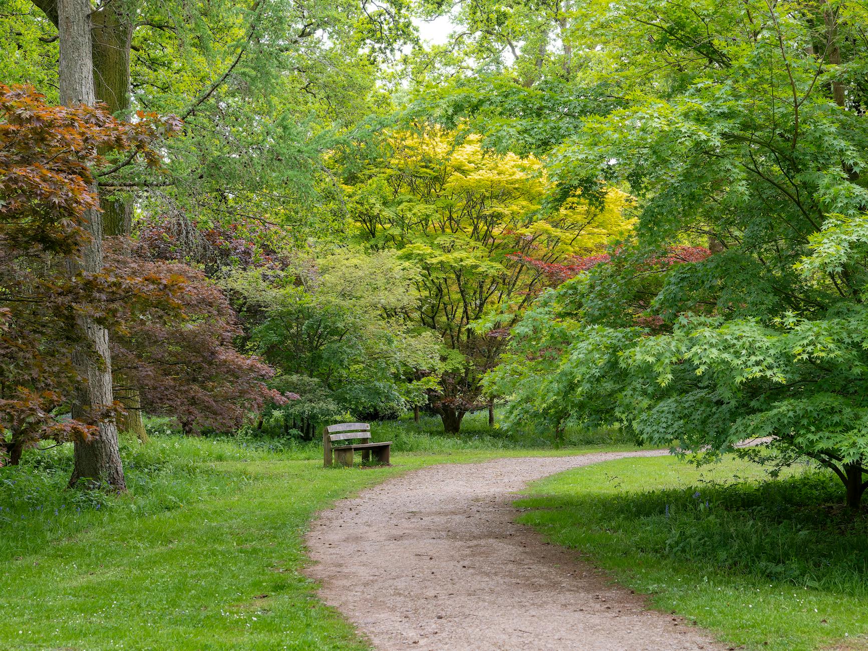 Peaceful garden path surrounded by lush, colorful foliage in an English park setting.