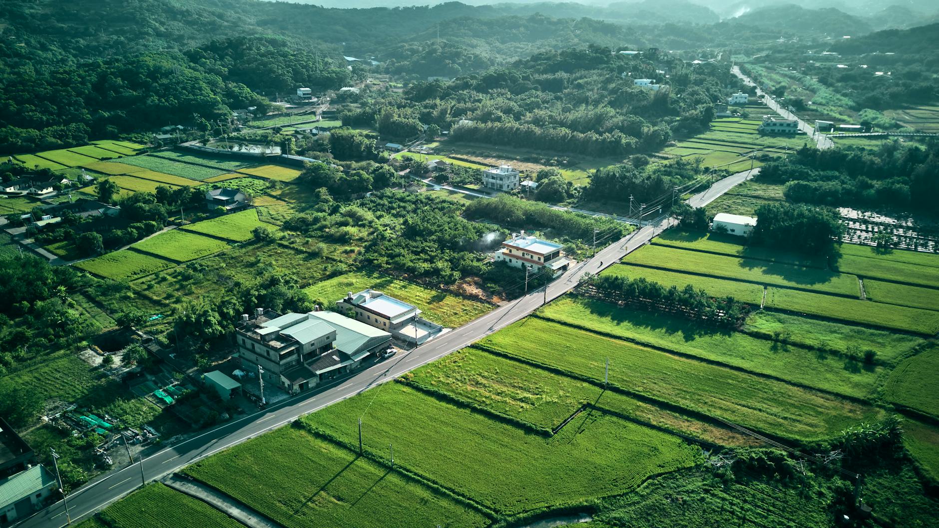 Drone shot of peaceful rural landscape with green fields and houses.