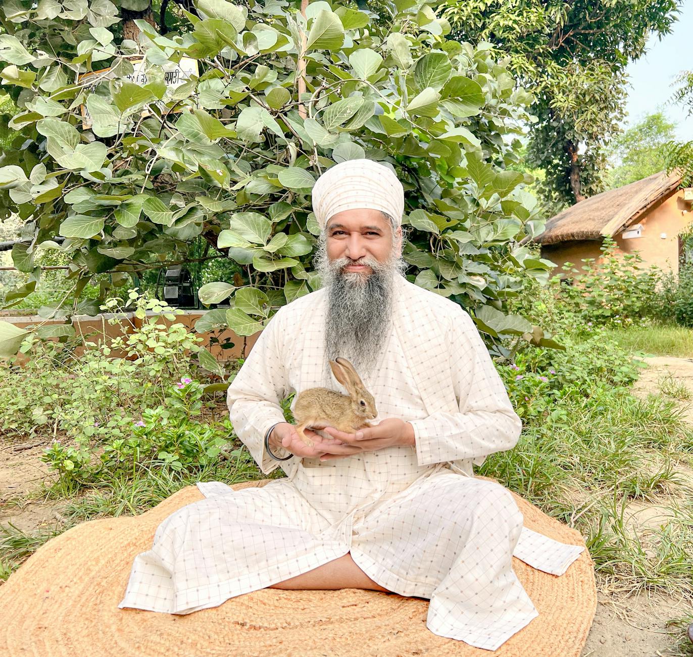Portrait of a senior man with a beard in traditional attire holding a rabbit outdoors in India.
