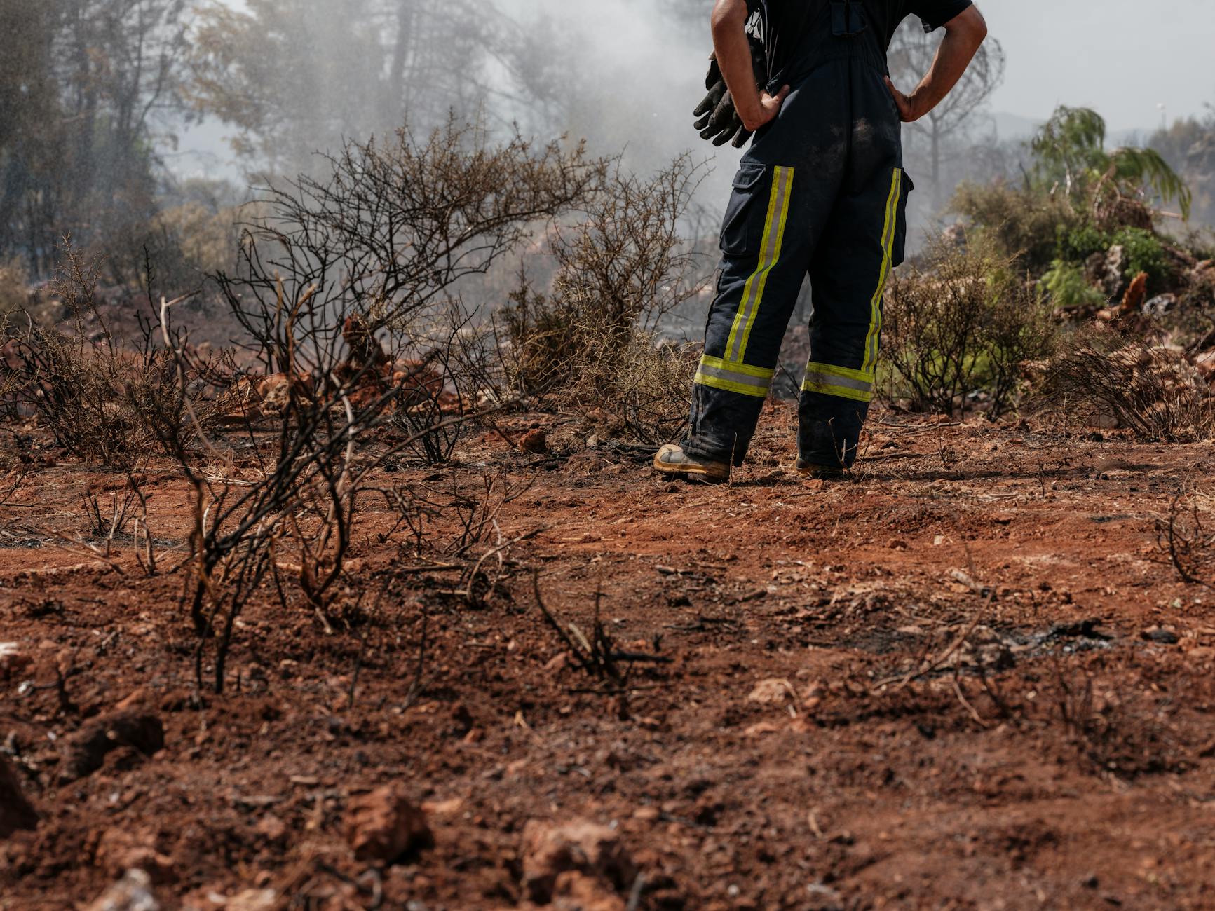 A firefighter examines a burnt forest landscape, assessing damage and ensuring safety.