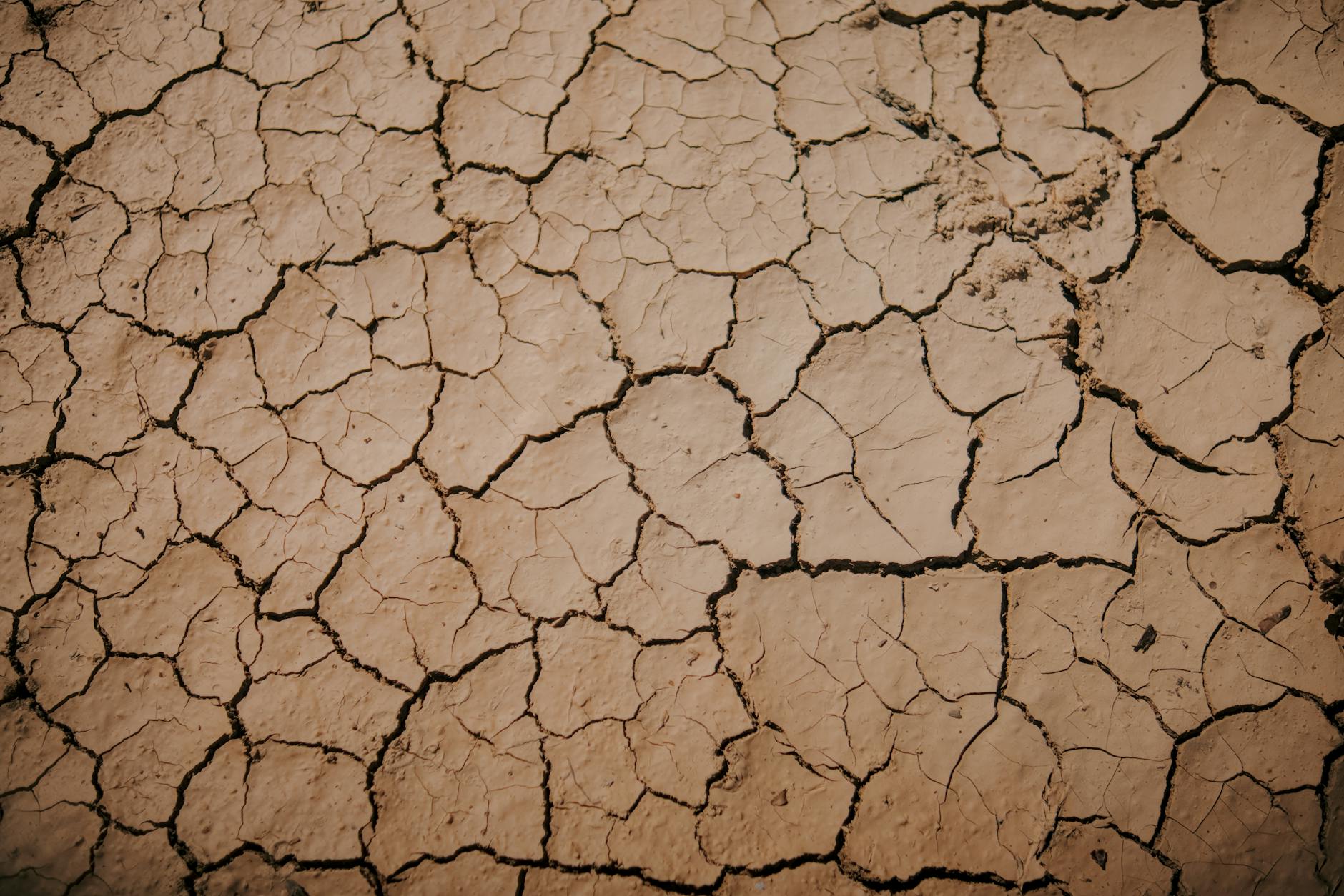 An image showcasing dry, cracked earth representing drought and climate change effects.