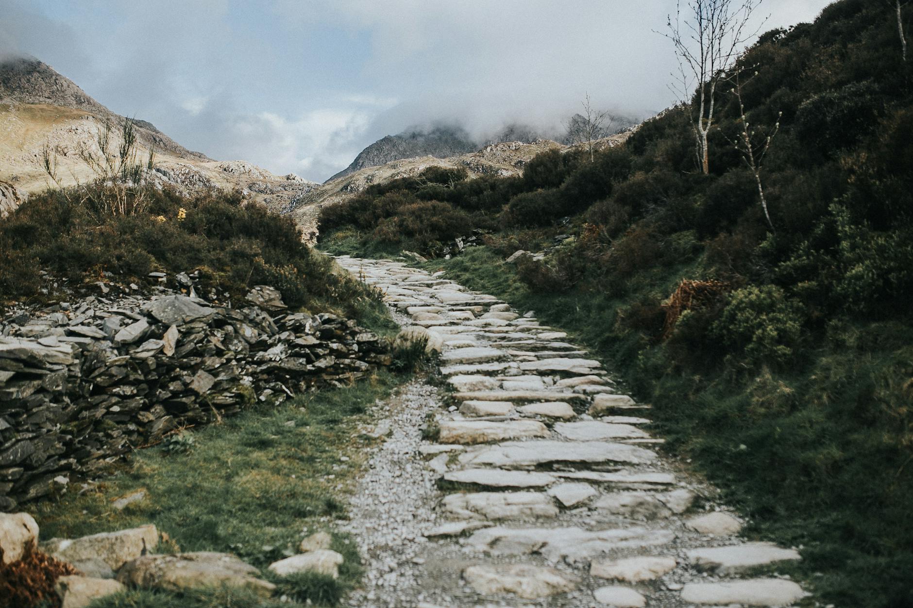 A scenic stone pathway winds through a foggy mountain landscape, perfect for nature lovers.