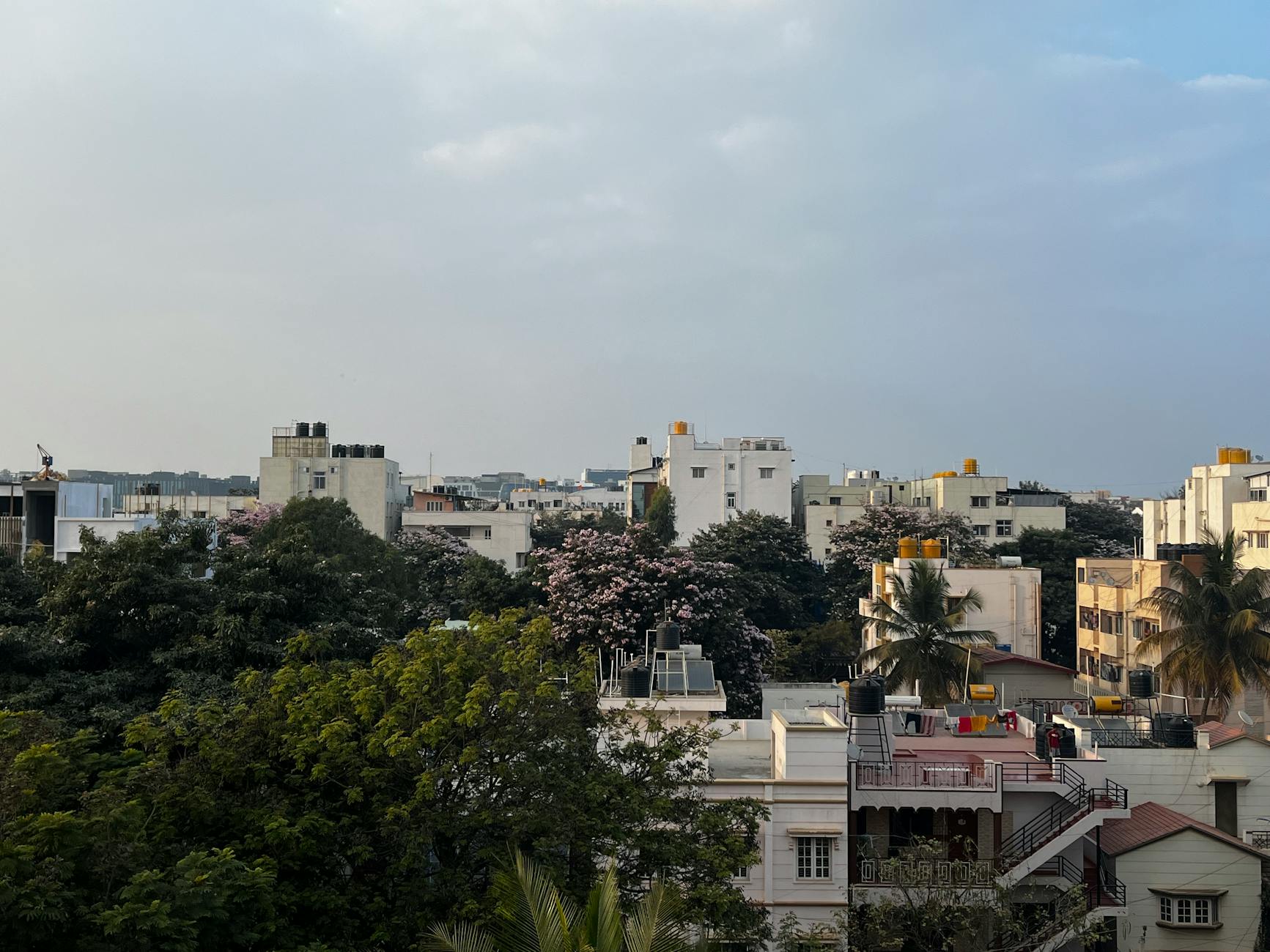 View of Bengaluru's residential skyline with trees and clear sky.