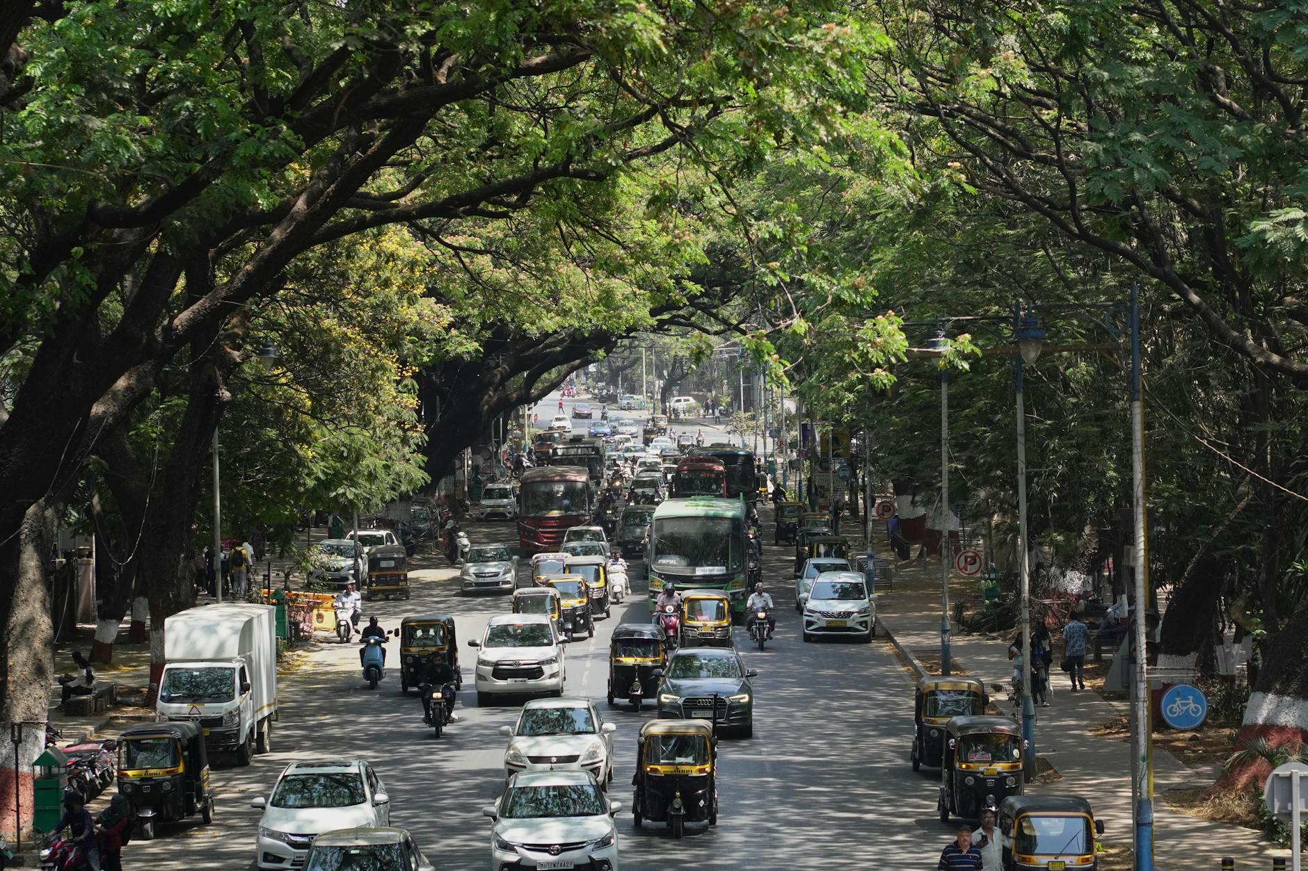 A busy street filled with vehicles and pedestrians under lush green trees.