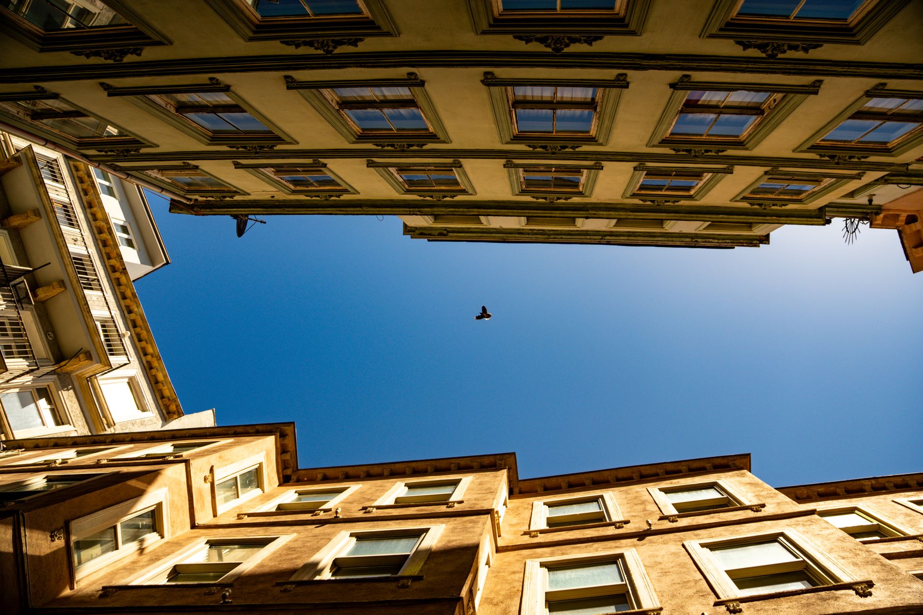 A bird flies above a narrow, decorative street lined with historic buildings under a vibrant blue sky.